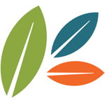 Rolling Meadows Park District logo
