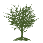 Cedar Hill Parks & Recreation logo