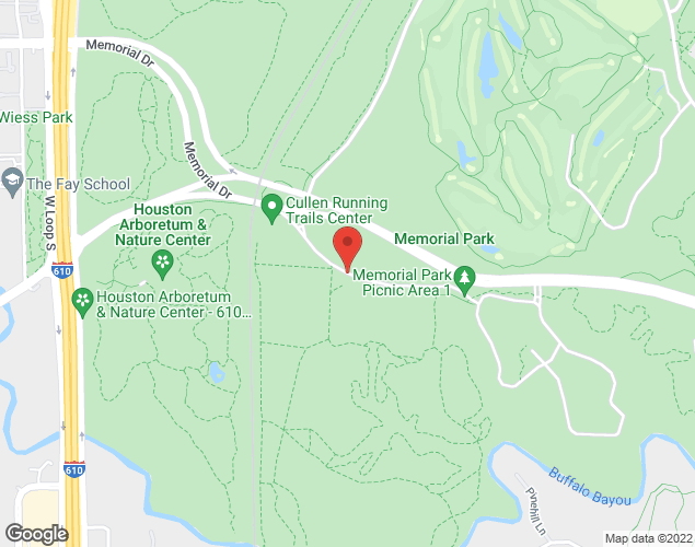 Map showing location at N Picnic Ln, Houston, TX