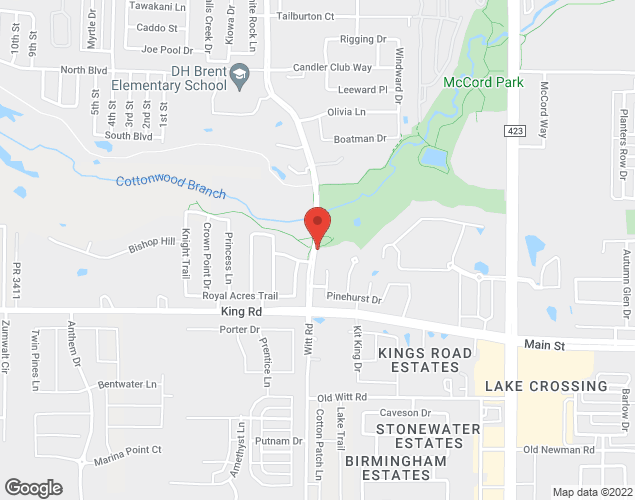 Map showing location at 1001 Witt Rd., Little Elm, TX
