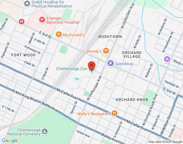 Map showing location at 301 N Holtzclaw Ave, CHATTANOOGA, TN