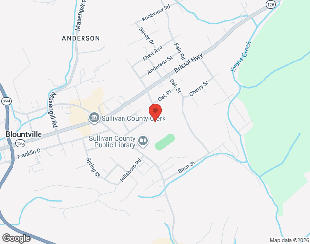 Map showing location at 155 School Ave, Blountville, TN