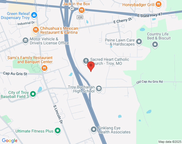 Map showing location at 110 Thompson Dr, Troy, MO
