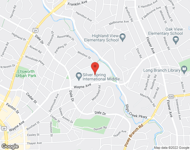 Map showing location at 313 Wayne Ave, Silver Spring, MD