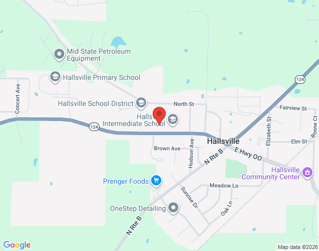 Map showing location at 421 Missouri 124, Hallsville, MO
