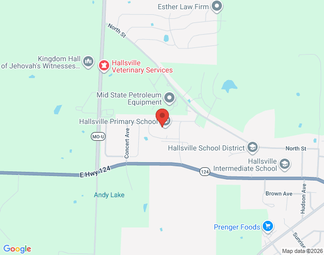 Map showing location at 6401 Missouri 124, Hallsville, MO