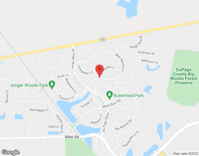 Map showing location at Dupage Parkway and Blue Spruce Lane, Aurora, IL