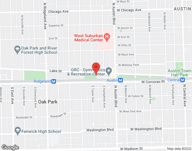 Map showing location at 49 Lake St, Oak Park, IL