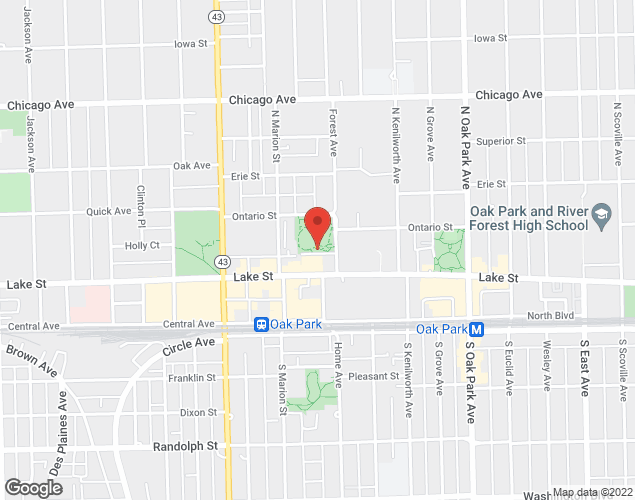 Map showing location at 167 Forest Ave, Oak Park, IL