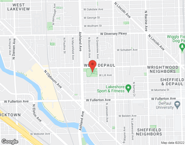 Map showing location at 2534 N Greenview Ave, chicago, IL