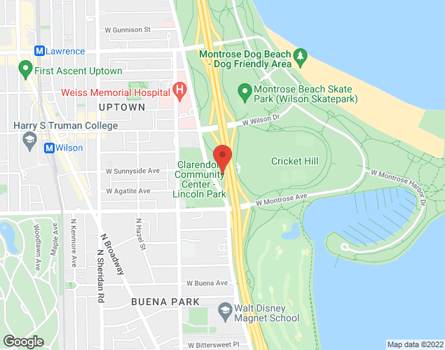 Map showing location at 4501 N Marine Dr, chicago, IL