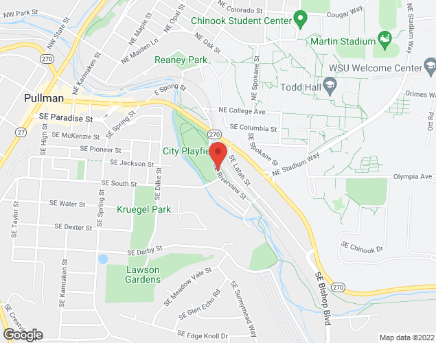 Map showing location at SE Riverview St, Pullman, WA